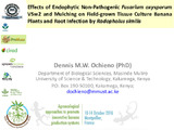 Dennis M.W. Ochieno 2016-Effects of Endophytic Non-Pathogenic Fusarium oxysporum V5w2 and Mulching on Field-grown Tissue Culture Banana Plants and Root Infection by Radopholus similis (PowerPoint Presentation)-.pdf.jpg