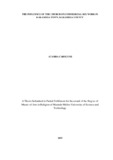 Atamba Caroline Final Thesis.pdf.jpg