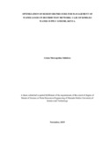 MSc Thesis Final - Celsus.pdf.jpg