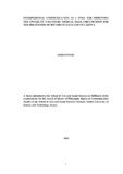 THESIS -Osir Otteng - 29-4-2021.pdf.jpg